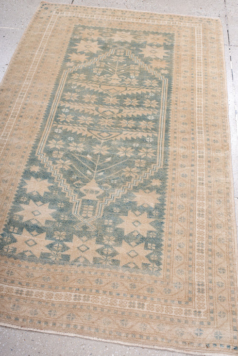 Antique Anatol Area Rug (3' x 5')
